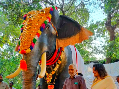 Ugadi Festival: ರೊಬೊಟ್‌ ಯುಗಾದಿ! ಭವಿಷ್ಯದ ಹಬ್ಬಗಳಿಗೆ ಯಂತ್ರಮಾನವ ಸಾಕ್ಷಿಯೇ?