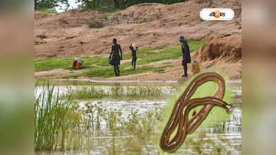 Zoological Survey Of India : সুন্দরবনের শিকারি কৃমির খোঁজ জেডএসআই-এর গবেষকের