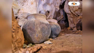 Indian Mystery Cave: ব্রাহ্মী শিলালিপিতে ভরা গুহা আবিষ্কার, মিলবে অশোক পূর্ব যুগের অজানা ইতিহাস?