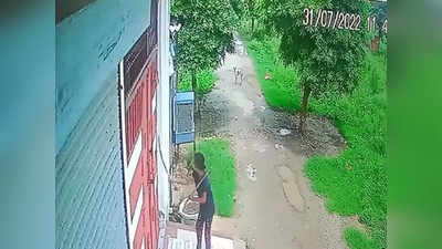 Meerut: शामली विधायक के गनर की पत्नी पर तलवार से हमला, आरोपी महिला की बंदूक के साथ वायरल हुई थी फोटो