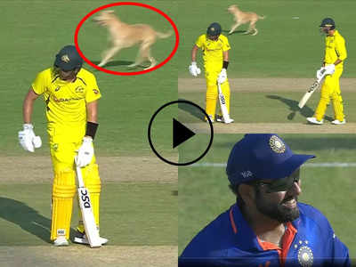 VIDEO: बीच मैच में घुसा कुत्ता, मैदान पर दौड़ता रहा, कुछ प्लेयर्स डरे तो लोटपोट हो गए रोहित शर्मा