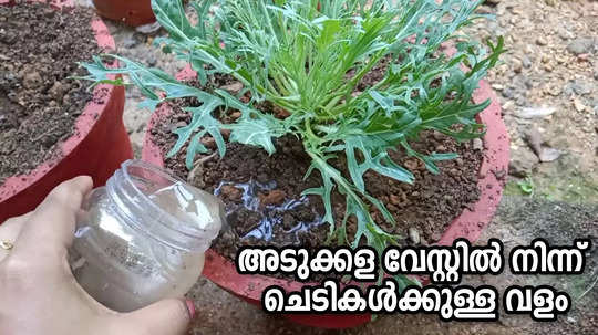 homemade garden fertilizer from kitchen waste