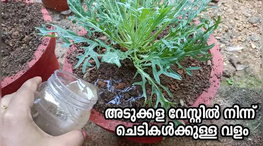 homemade garden fertilizer from kitchen waste