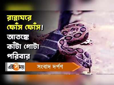 Santipur News: রান্নাঘরে ফোঁস ফোঁস! আতঙ্কে কাঁটা গোটা পরিবার!