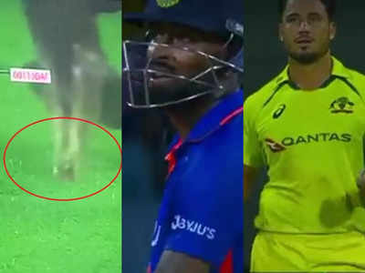 IND vs AUS: सांप और कुत्ते बाद अब लाइव मैच में घुसा खतरनाक शिकारी, देखकर सहमे खिलाड़ी