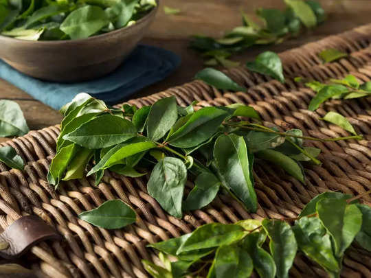 Curry leaves reduced blood sugar level in rats