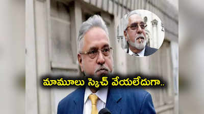 Vijay Mallya: సంక్షోభంలోనూ వందల కోట్ల ఆస్తులు కొన్న విజయ్ మాల్యా.. అన్నీ అక్కడే.. CBI రిపోర్ట్‌లో విస్తుపోయే నిజాలు..!