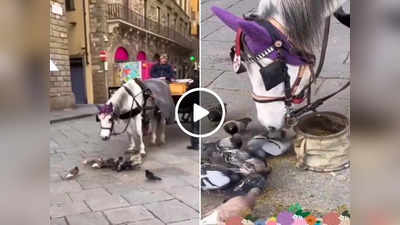 Viral Video: घोड़े की दरियादिली ने जीता इंटरनेट का दिल, लोग बोले- इसे कहते हैं मिल-बांटकर खाना!