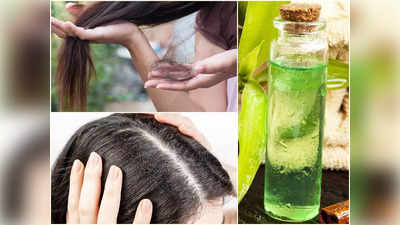 Tea Tree Oil For Hair: ২ সপ্তাহে কমবে খুশকি, বন্ধ হবে মুঠো ভর্তি চুল ওঠাও! এই তেল মাখলেই মুশকিল আসান