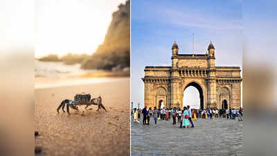 मुंबई की एक ऐसी अनोखी जगह जिसका नाम केकड़े को देखकर पड़ा, वजह जान हंस देंगे आप