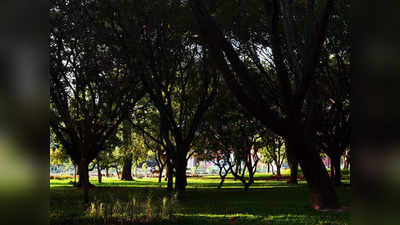 Biggest Park in Bengaluru: ಬೆಂಗಳೂರಿಗೆ ಬರಲಿದೆ ಕಬ್ಬನ್ ಪಾರ್ಕ್‌ಗಿಂತ ದೊಡ್ಡ ಪಾರ್ಕ್‌! ಆಕರ್ಷಿಸಲಿದೆ 100 ಅಡಿ ಕೆಂಪೇಗೌಡರ ಪ್ರತಿಮೆ