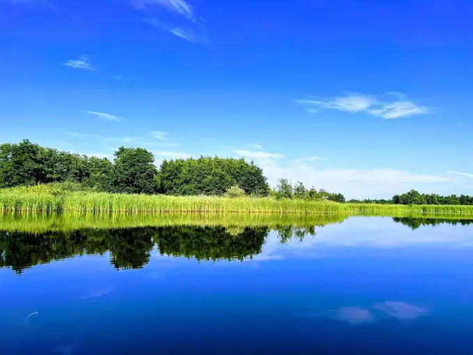 ​नहीं है एक भी सड़क ​