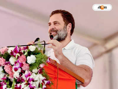 Rahul Gandhi Conviction: দাগি জনপ্রতিনিধির তালিকায় নাম রাহুলের, সাংসদ পদ খারিজে কী বলছে আইন?