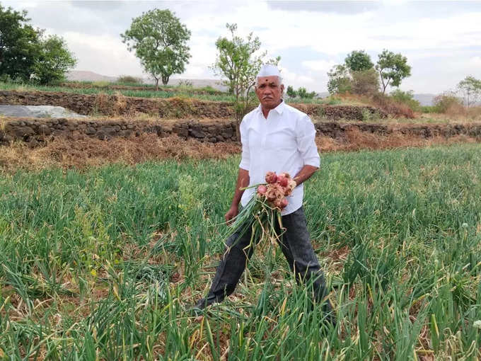 ​शेततळ्यातील पाण्याच्या वापरासाठी ठिबक सिंचन