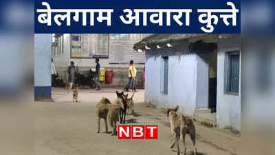 Nawada News: आवारा कुत्तों के आतंक से दहला नवादा, सदर अस्पताल में तीन लोगों को बनाया अपना शिकार