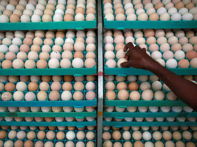 पेट भरने के लिए श्रीलंका को आई भारत की याद, मंगाए 20 लाख अंडे, जानें अब कैसे हैं हालात?