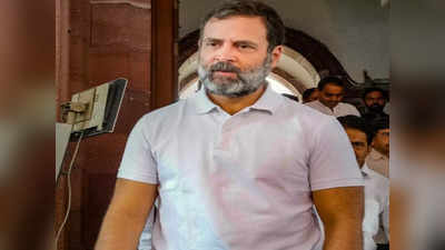 Rahul Gandhi Astrology Predictions: রাহুর জালে রাহুল গান্ধী! কং নেতার ভাগ্যে অপেক্ষায় কী? জানুন জ্যোতিষ মত