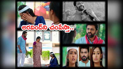 Malli Serial మార్చి 24 ఎపిసోడ్: నీ తండ్రి సత్య.. మల్లికి నిజం చెప్పిన మీరా.. మరి శరత్ ఎవరబ్బా!