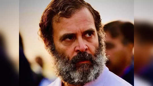 Rahul Gandhi:'രാഹുല്‍ ഗാന്ധി അയോഗ്യന്‍'; എംപി സ്ഥാനത്ത് നിന്ന് രാഹുല്‍ ഗാന്ധിയെ അയോഗ്യനാക്കി ഉത്തരവ്