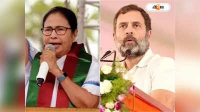 Mamata Banerjee On Rahul : প্রাতিষ্ঠানিক গণতন্ত্রের আরও অবক্ষয়, রাহুলের সাংসদ পদ খারিজ নিয়ে সরব মমতা