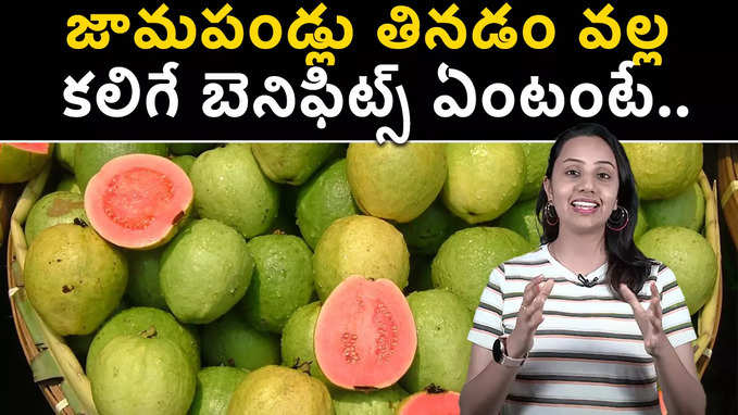 జామపండ్లు తినడం వల్ల కలిగే బెనిఫిట్స్ ఏంటంటే.. 