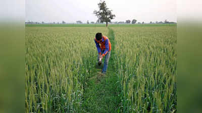 40 लाख किसानों को मोदी सरकार का तोहफा, जूट पर न्यूनतम समर्थन मूल्य 300 रुपये बढ़ाया