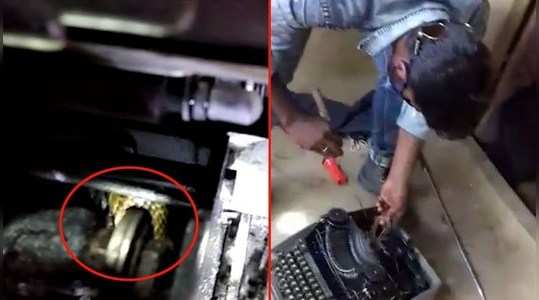 man finds deadly cobra inside the typewriter