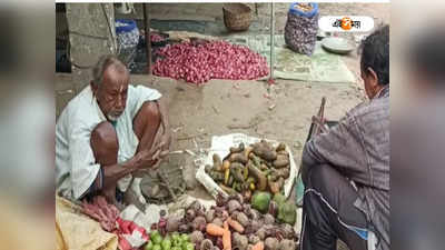 Uttar 24 Pargana News: আমার ঠিকানা তাই..., সন্তানদের অবহেলায় ১০৫ বছরেও সবজি বিক্রি নদিয়ার সুধন্যর