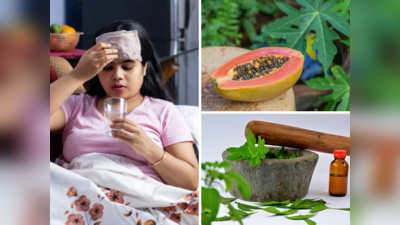 Dengue Fever Home Remedies डेंग्यूसारख्या महाभयंकर आजारावर रामबाण उपाय, झटपट वाढतील प्लेटलेट्स