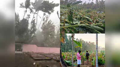 തൃശൂരിൽ മിന്നൽ ചുഴലിയും മഴയും; മരങ്ങൾ നിലംപതിച്ചു, വൈദ്യുതി ബന്ധം തകരാറിലായി