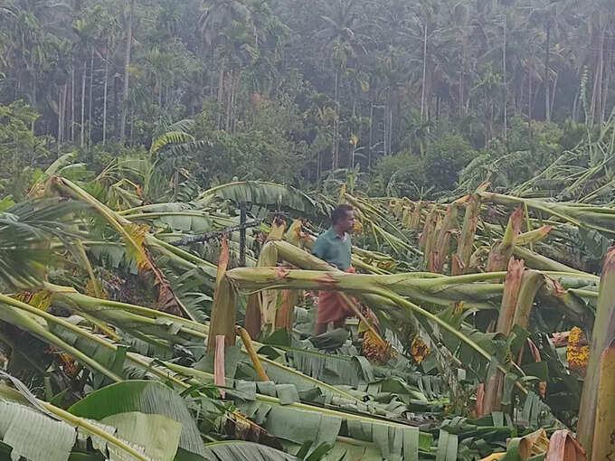 Thrissur Rain