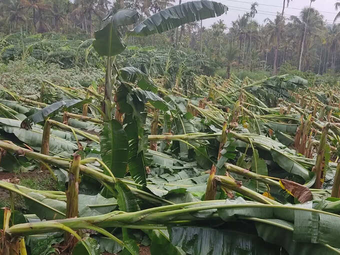 Thrissur Rain