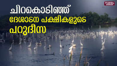 ചെമ്പല്ലിക്കുണ്ട് നാശത്തിന്റെ വക്കിൽ | Madaipara