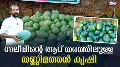 തണ്ണിമത്തൻ കൃഷിയിൽ അഭിമാന നേട്ടവുമായി സലിം | Watermelon cultivation