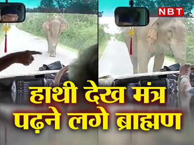 Elephant Mantra Video: गाड़ी के सामने जंगली हाथी को देख मंत्र पढ़ने लगे ब्राह्मण, देखिए आगे क्या हुआ