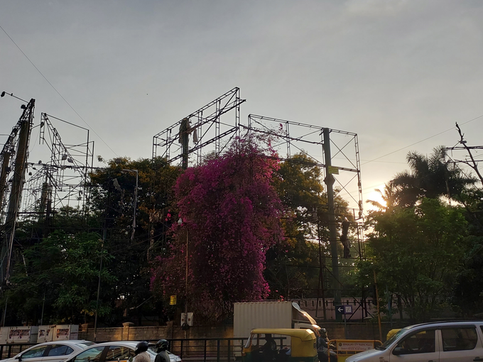 Stunning Beautiful Sights Of Bangalore In Spring Season