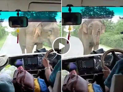 गाड़ी की तरफ बढ़ने लगा हाथी तो उसे शांत करने के लिए लोग करने लगे मंत्र जाप