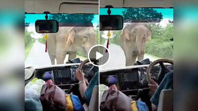 Viral Video : गाड़ी की तरफ बढ़ने लगा हाथी तो उसे शांत करने के लिए लोग करने लगे मंत्र जाप