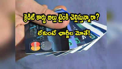 Credit Card: క్రెడిట్ కార్డు వాడుతున్నారా? బిల్ టైంకి కట్టకపోతే మీ జేబుకు చిల్లే!