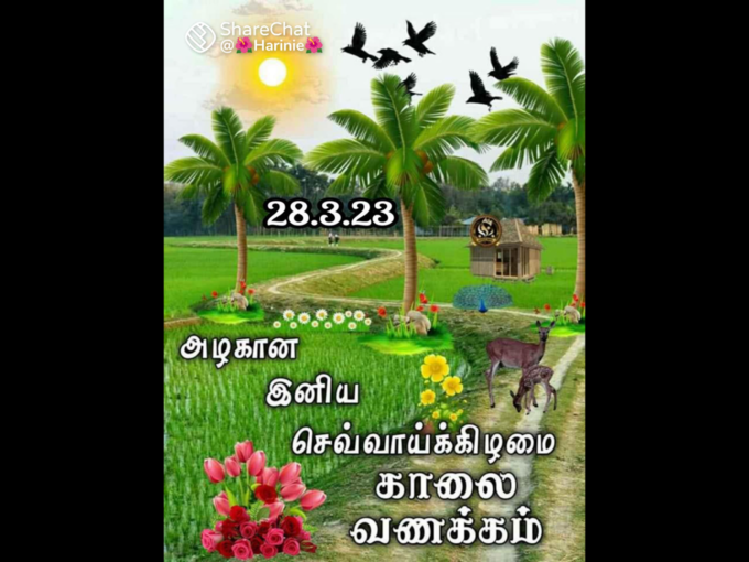 ​இனிய காலை வணக்கம்!​