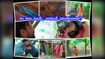 Malli Serial మార్చి 28 ఎపిసోడ్: మల్లికి ఆఖరి చూపు లేకుండా చేసిన సత్య.. నిజంగానే చంపేశాడా??