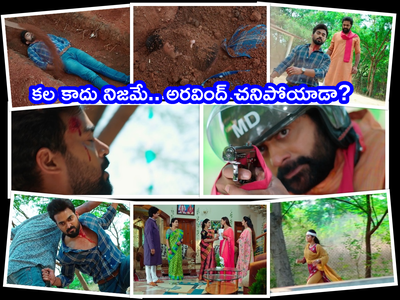 Malli Serial మార్చి 28 ఎపిసోడ్: మల్లికి ఆఖరి చూపు లేకుండా చేసిన సత్య.. నిజంగానే చంపేశాడా??