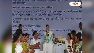 Mamata Banerjee : ডবল ডিউটি পালন করছি, ধরনা মঞ্চে নিজের ভূমিকা স্পষ্ট করলেন মমতা