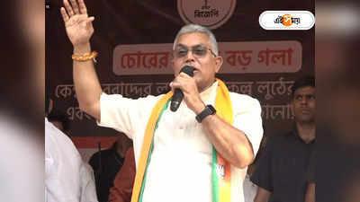 BJP West Bengal : দিদিগিরি চলবে না... হিসেব দিতেই হবে, চরম হুঙ্কার দিলীপের