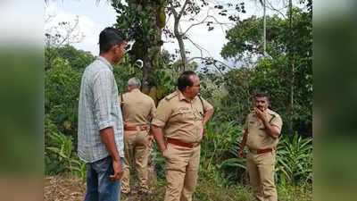 കട്ടപ്പന വെട്ടിക്കുഴകവലയ്ക്ക് സമീപം വീണ്ടും കാട്ടുപോത്തിന്‍റെ സാന്നിധ്യം