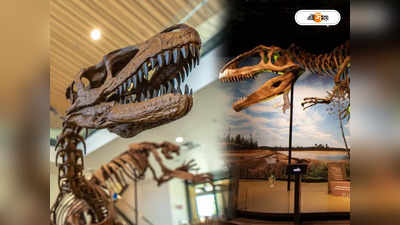 Dinosaur Skeleton : জুরিখে নিলামে উঠল ৬৭ কোটি বছর আগের ডাইনোসরের কঙ্কাল, দাম জানেন?