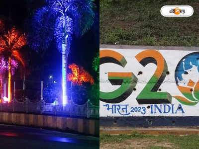 Tripura G20: রিশা-রিহা না কাঠের কাজ? G20-র বিদেশিদের মন মজাতে হস্তশিল্পেই ভরসা ত্রিপুরার