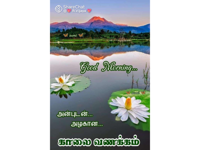 இனிய காலை வணக்கம்!