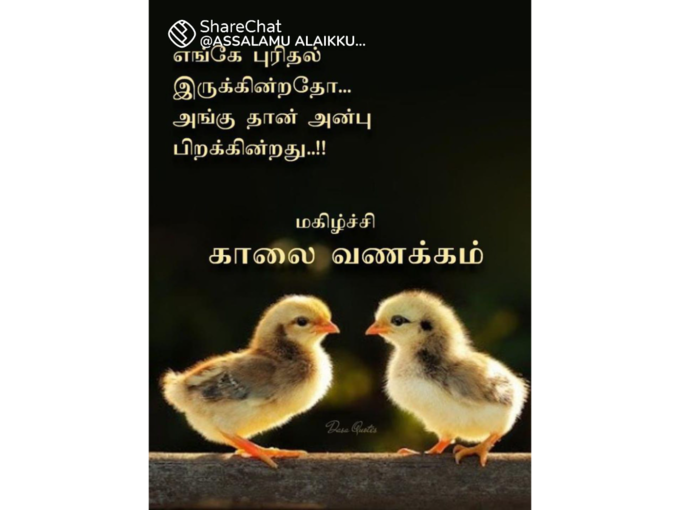 இனிய காலை வணக்கம்!