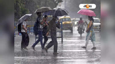 Rainfall Alert: ভ্যাপসা গরম থেকে মুক্তি, রাজ্যের একাধিক জেলায় ঝড়-বৃষ্টির সম্ভাবনা
